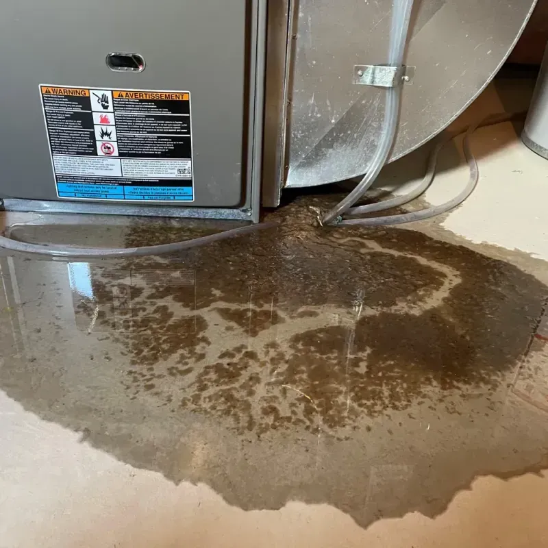 Appliance Leak Cleanup in Sulligent, AL